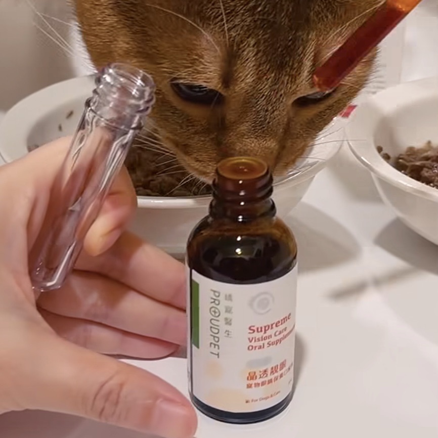 從黑魯流眼淚，聊到貓咪眼睛保養